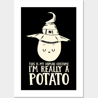 This is my Human Costume I'm Really A Potato Funny Halloween Lazy Costume Gift Posters and Art